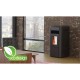 Pilleovn med vandtank / Pilleovn til centralvarme Alfa Plam Dino 27 Sort, 27kW | Pilleovne med vandtank / Pilleovne til centralvarme | Pilleovne |
